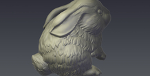Image 207256