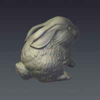 Rabbit - Thumbnail 3