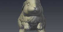 Image 207257