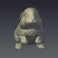 Rabbit - Thumbnail 4