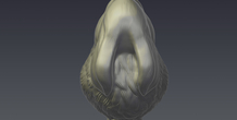 Image 207258