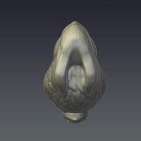 Rabbit - Thumbnail 5