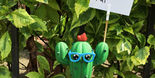 Image 207575