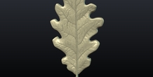 Image 207612