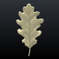 Oak Leaf - Thumbnail 2