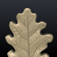 Oak Leaf - Thumbnail 4