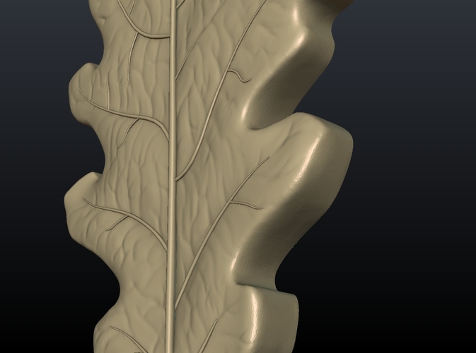 Oak Leaf 3D Print 207615