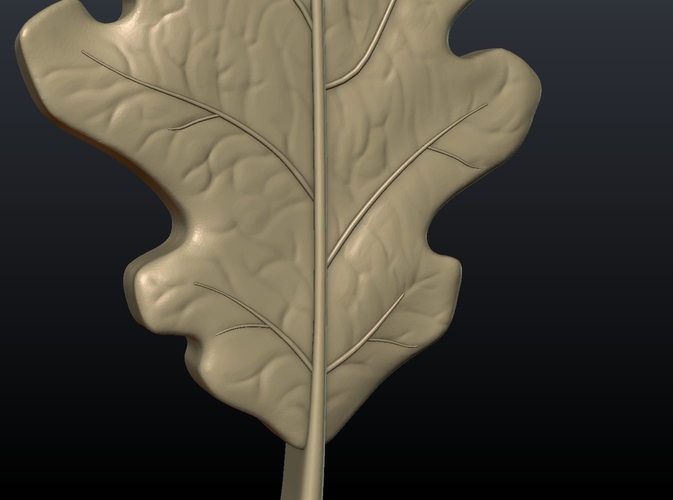 Oak Leaf 3D Print 207616