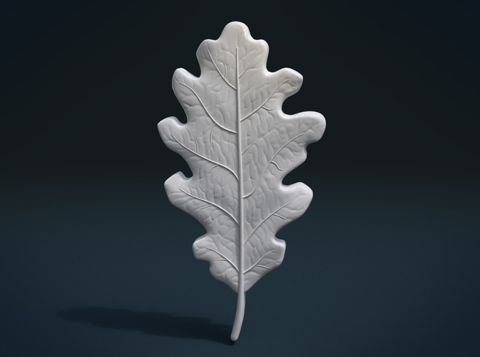 Oak Leaf 3D Print 207624