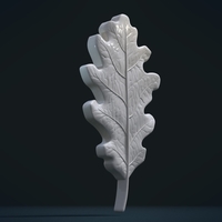 Oak Leaf - Thumbnail 15