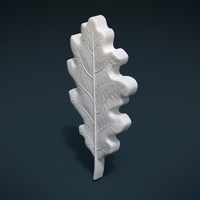 Oak Leaf - Thumbnail 16