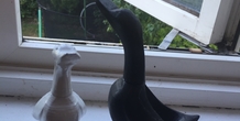 Image 207645
