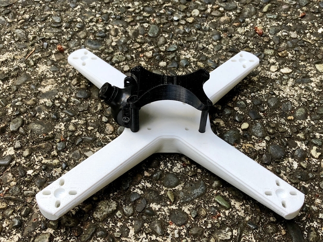 Birdbone ABS1-5X 3D Print 207710