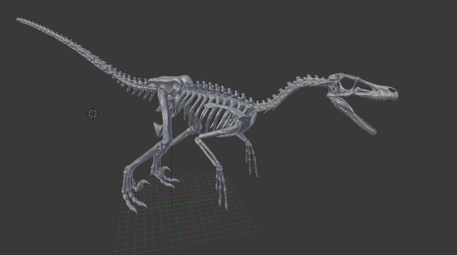 Velociraptor Skeleton 3D Print 208145