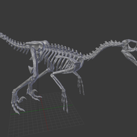 Velociraptor Skeleton - Thumbnail 1