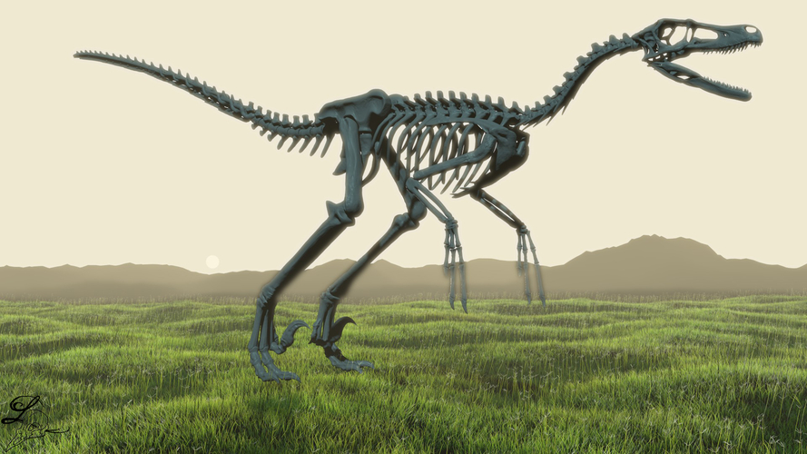 Velociraptor Skeleton 3D Print 208146