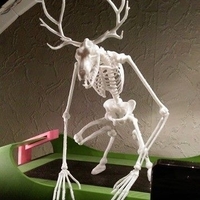 Wendigo Skeleton - Thumbnail 2