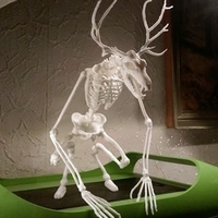 Wendigo Skeleton - Thumbnail 4