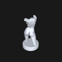 Sculptural torso - Thumbnail 3