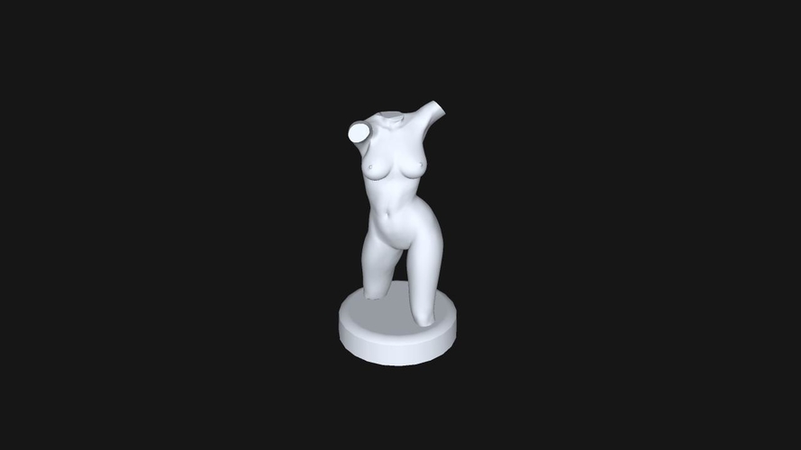 Sculptural torso 3D Print 208666