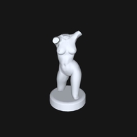 Sculptural torso - Thumbnail 5