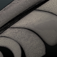 Feather - Thumbnail 11