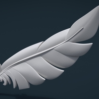 Feather - Thumbnail 15