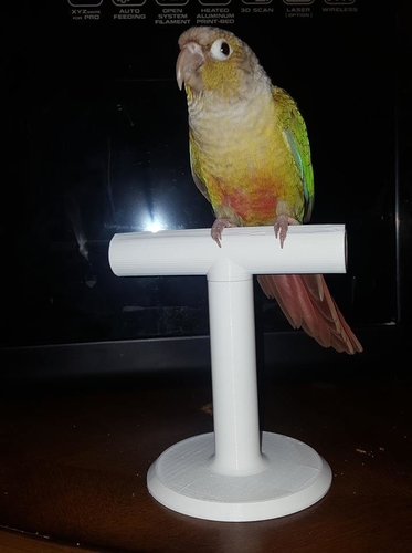 Desktop Small Bird Perch 3D Print 209169