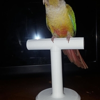 Desktop Small Bird Perch - Thumbnail 2