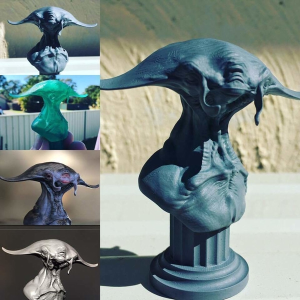 Manta Face 3D Print 
