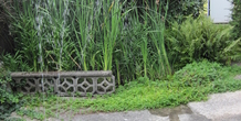 Image 209945