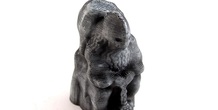 Image 2101