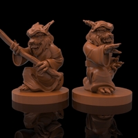 magician khajiit collection - Thumbnail 2