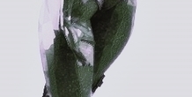 Image 210735