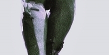Image 210736