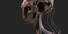 Image 210763