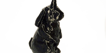 Image 210772