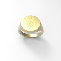 Small Signet Ring: Lion Heart 3D Printing 210934