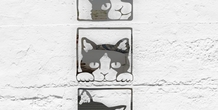 Image 211137