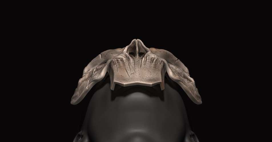 Death Mask - Darksiders 3D print model 3D Print 211268