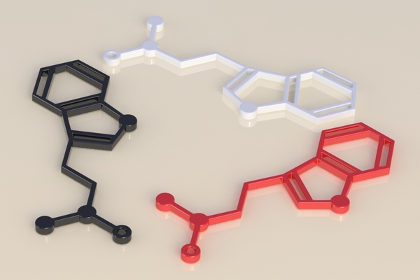 DMT Molecule Earings/Neclace