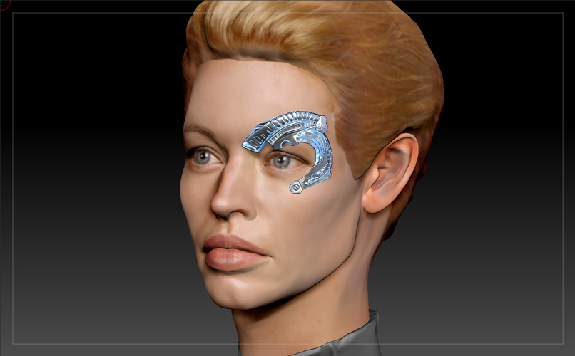 Borg Implants of Seven of Nine. Jeri Ryan. Star Trek 3D Print 212353