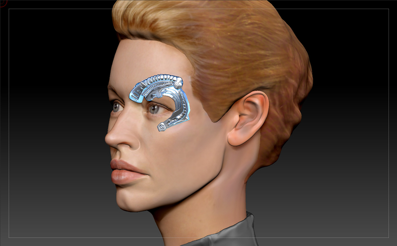 Borg Implants of Seven of Nine. Jeri Ryan. Star Trek 3D Print 212354