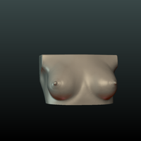 Woman's Breast - Thumbnail 1