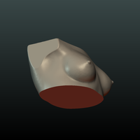 Woman's Breast - Thumbnail 2
