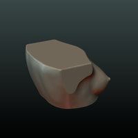 Woman's Breast - Thumbnail 3