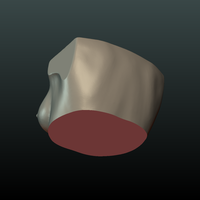 Woman's Breast - Thumbnail 4