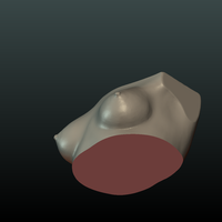 Woman's Breast - Thumbnail 5
