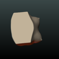 Woman's Breast - Thumbnail 7