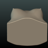 Woman's Breast - Thumbnail 11